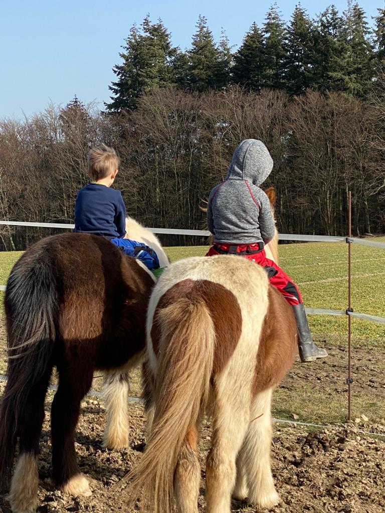 Mini-Chefs auf den Pferden