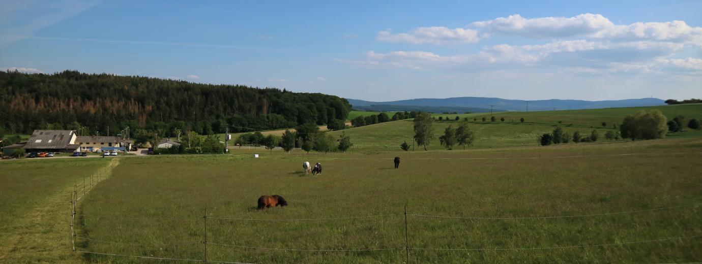Impressionen von unserem Hof