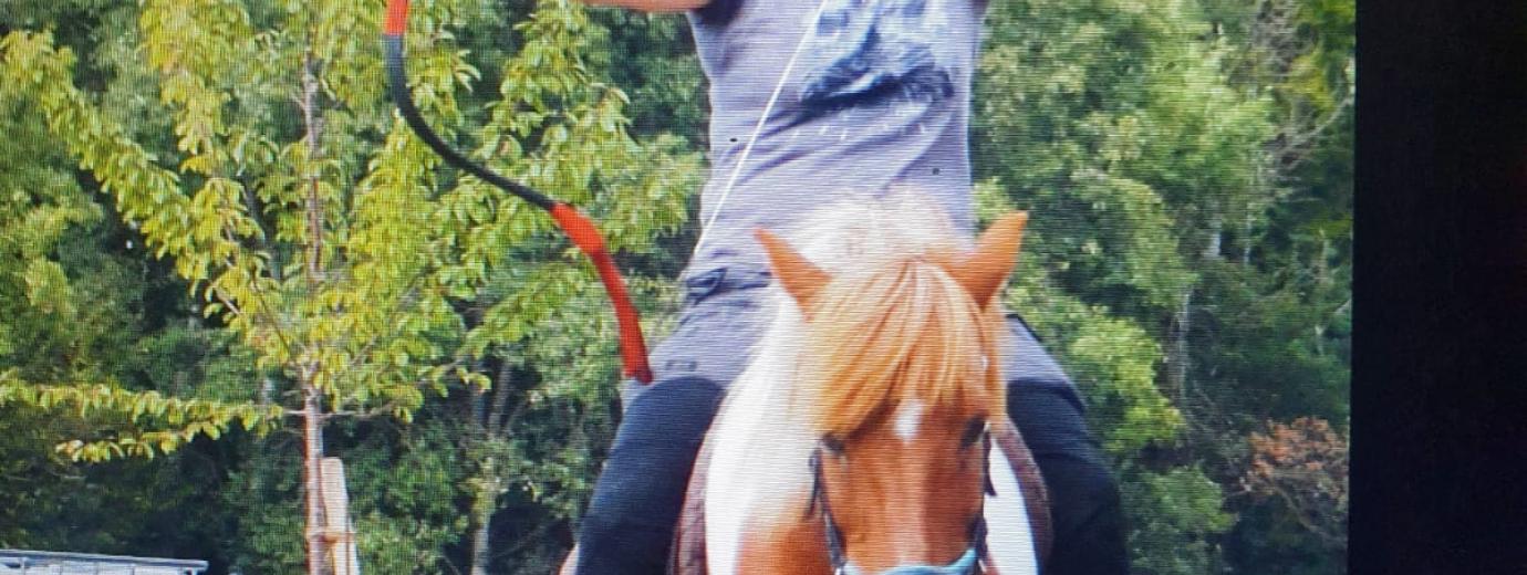 verschiedene Kurse am Hof