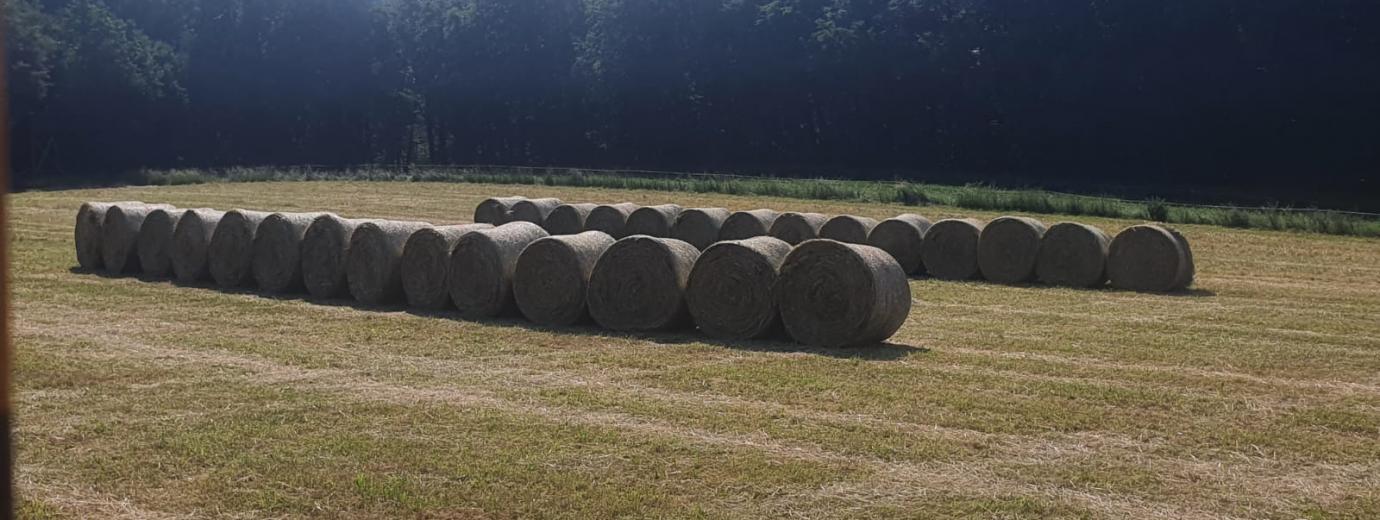 Heu von eigenen Wiesen