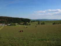 Impressionen von unserem Hof