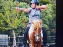 verschiedene Kurse am Hof