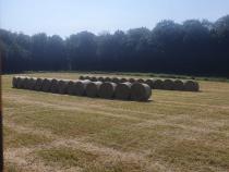 Heu von eigenen Wiesen