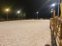 Reitplatz 20x40 mit Flutlicht